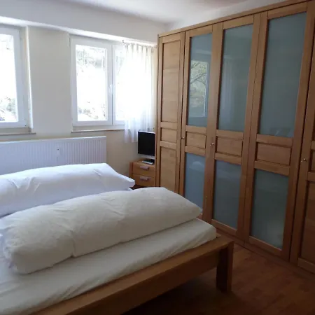 Apartment Linden 1